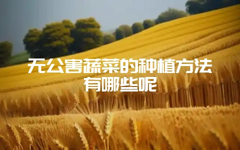 无公害蔬菜的种植方法有哪些呢-会东网
