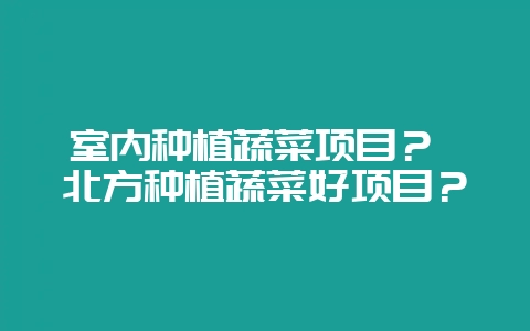 室内种植蔬菜项目? 北方种植蔬菜好项目?-会东网