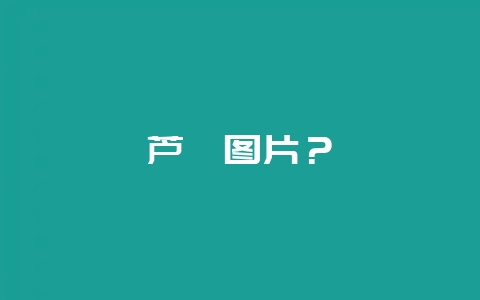 芦荟图片？-会东网