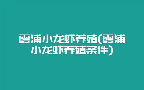 霞浦小龙虾养殖(霞浦小龙虾养殖条件)-会东网