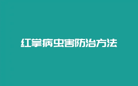 红掌病虫害防治方法-会东网