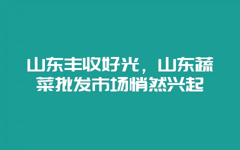 山东丰收好光,山东蔬菜批发市场悄然兴起-会东网