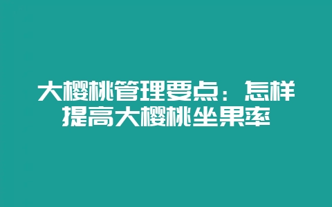 大樱桃管理要点：怎样提高大樱桃坐果率-会东网