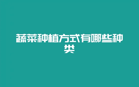 蔬菜种植方式有哪些种类-会东网