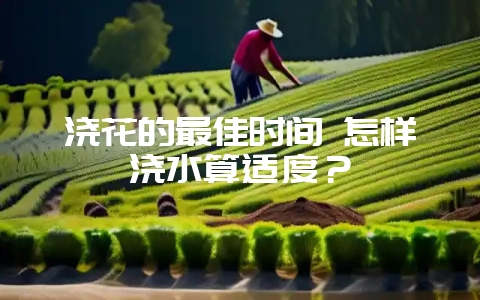 浇花的最佳时间 怎样浇水算适度？-会东网