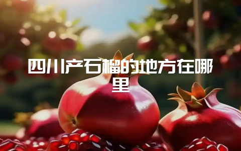 四川产石榴的地方在哪里插图 四川产石榴的地方在哪里插图