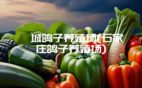 栾城鸽子养殖场(石家庄鸽子养殖场)-会东网