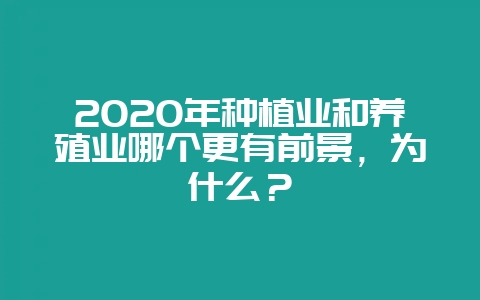 2020年种植业和养殖业哪个更有前景,为什么?-会东网