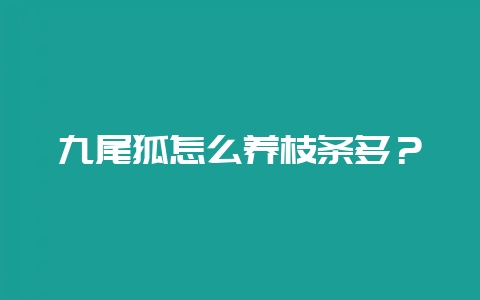 九尾狐怎么养枝条多?-会东网
