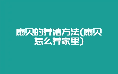 扇贝的养殖方法(扇贝怎么养家里)-会东网