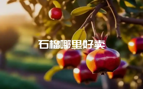 石榴哪里好卖-会东网