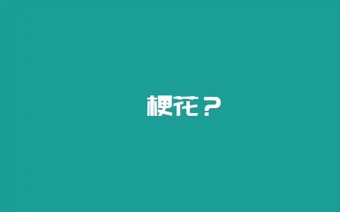 桔梗花？-会东网