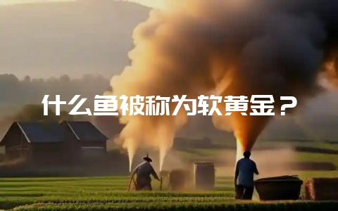 什么鱼被称为软黄金？-会东网