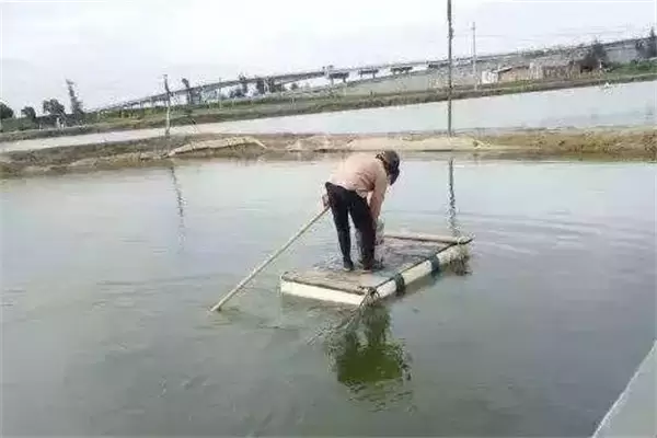 对虾对温度、盐度的适应是怎样的?-会东网