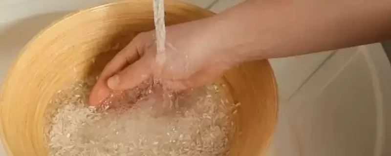 淘米水是氮肥还是磷肥-会东网