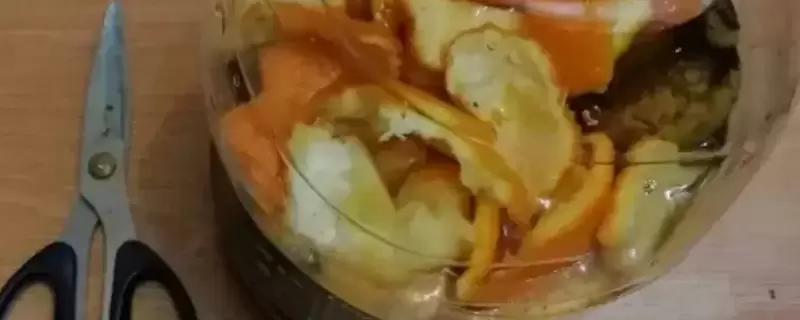 果皮泡水发酵后能直接浇花吗-会东网