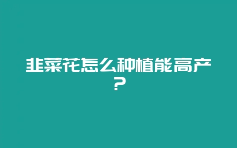 韭菜花怎么种植能高产?-会东网