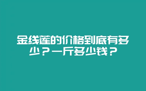 金线莲的价格到底有多少？一斤多少钱？-会东网