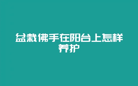 盆栽佛手在阳台上怎样养护-会东网