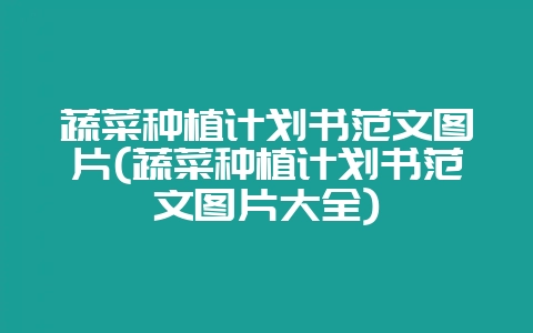 蔬菜种植计划书范文图片(蔬菜种植计划书范文图片大全)-会东网