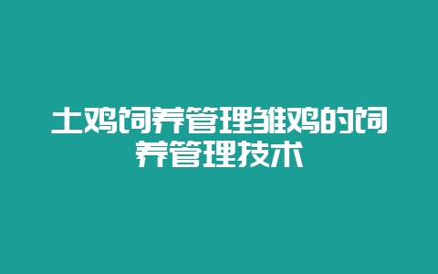 土鸡饲养管理雏鸡的饲养管理技术-会东网