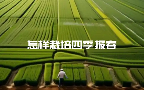 怎样栽培四季报春-会东网