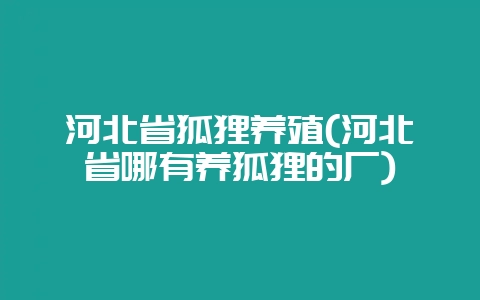 河北省狐狸养殖(河北省哪有养狐狸的厂)-会东网