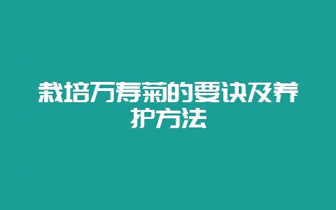 栽培万寿菊的要诀及养护方法-会东网
