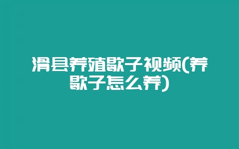 滑县养殖歇子视频(养歇子怎么养)-会东网