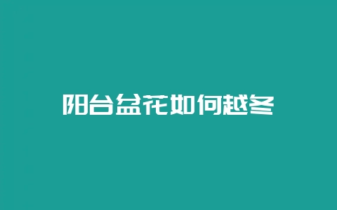 阳台盆花如何越冬-会东网