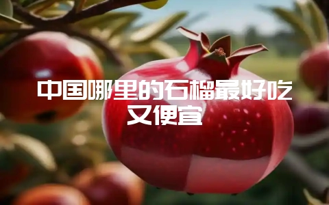 中国哪里的石榴最好吃又便宜-会东网