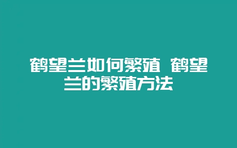 鹤望兰如何繁殖 鹤望兰的繁殖方法-会东网