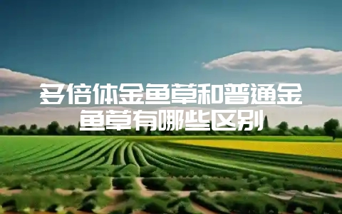 多倍体金鱼草和普通金鱼草有哪些区别-会东网