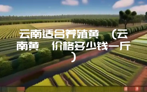 云南适合养殖黄鳝(云南黄鳝价格多少钱一斤)-会东网