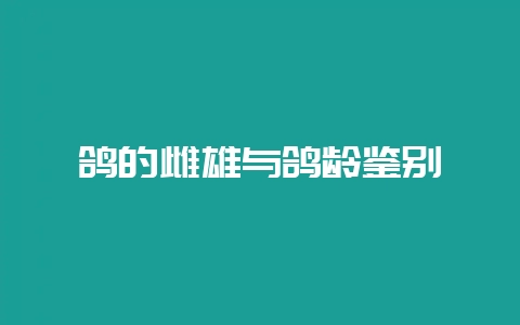 鸽的雌雄与鸽龄鉴别-会东网