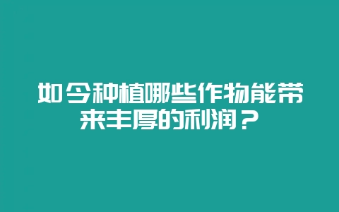如今种植哪些作物能带来丰厚的利润？-会东网