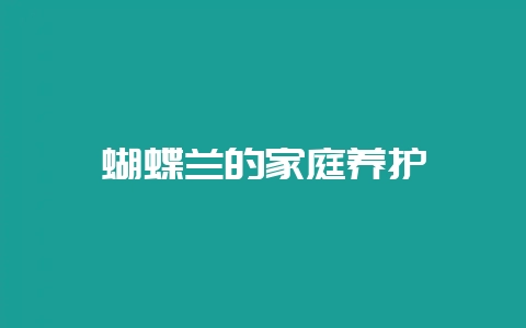 蝴蝶兰的家庭养护-会东网
