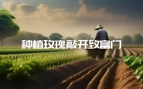 种植玫瑰敲开致富门-会东网