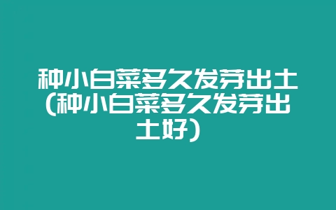 种小白菜多久发芽出土(种小白菜多久发芽出土好)-会东网