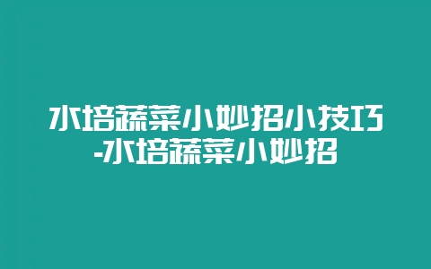 水培蔬菜小妙招小技巧-水培蔬菜小妙招-会东网