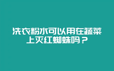洗衣粉水可以用在蔬菜上灭红蜘蛛吗?-会东网