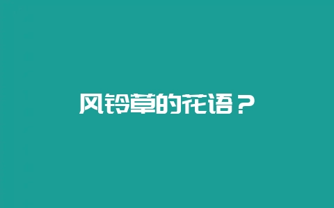 风铃草的花语？-会东网