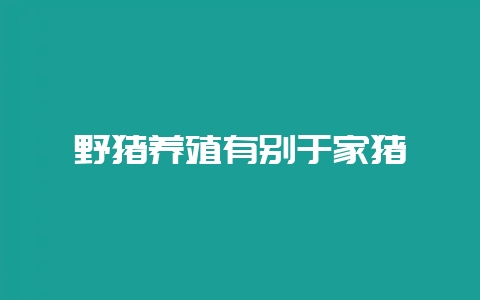 野猪养殖有别于家猪-会东网