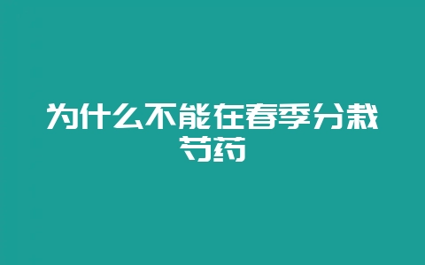 为什么不能在春季分栽芍药-会东网