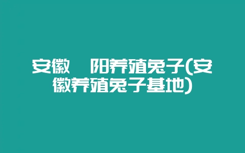 安徽阜阳养殖兔子(安徽养殖兔子基地)-会东网