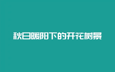 秋日暖阳下的开花树景-会东网