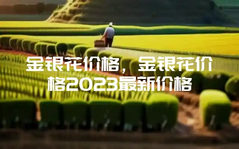金银花价格，金银花价格2023最新价格-会东网