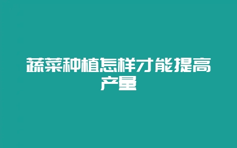 蔬菜种植怎样才能提高产量-会东网