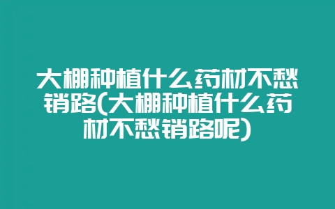 大棚种植什么药材不愁销路(大棚种植什么药材不愁销路呢)-会东网