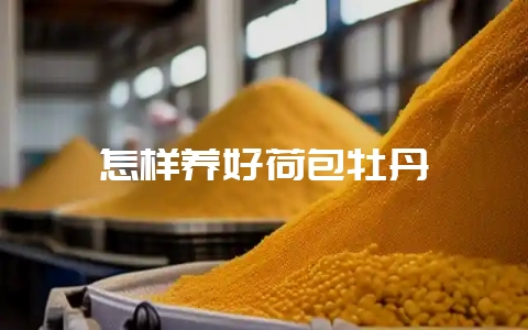 怎样养好荷包牡丹-会东网